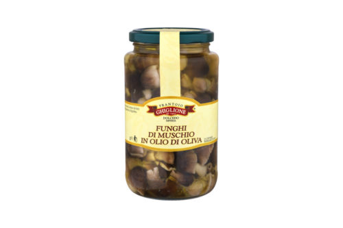 funghi sotto olio